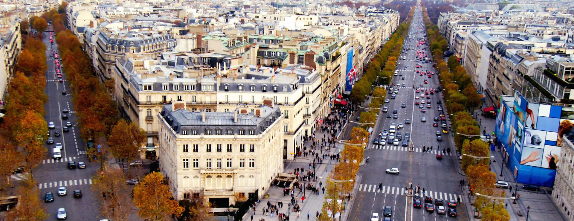 French Institute in Moscow: training features, reviews 72 French Institute in Moscow: training features, reviews 99