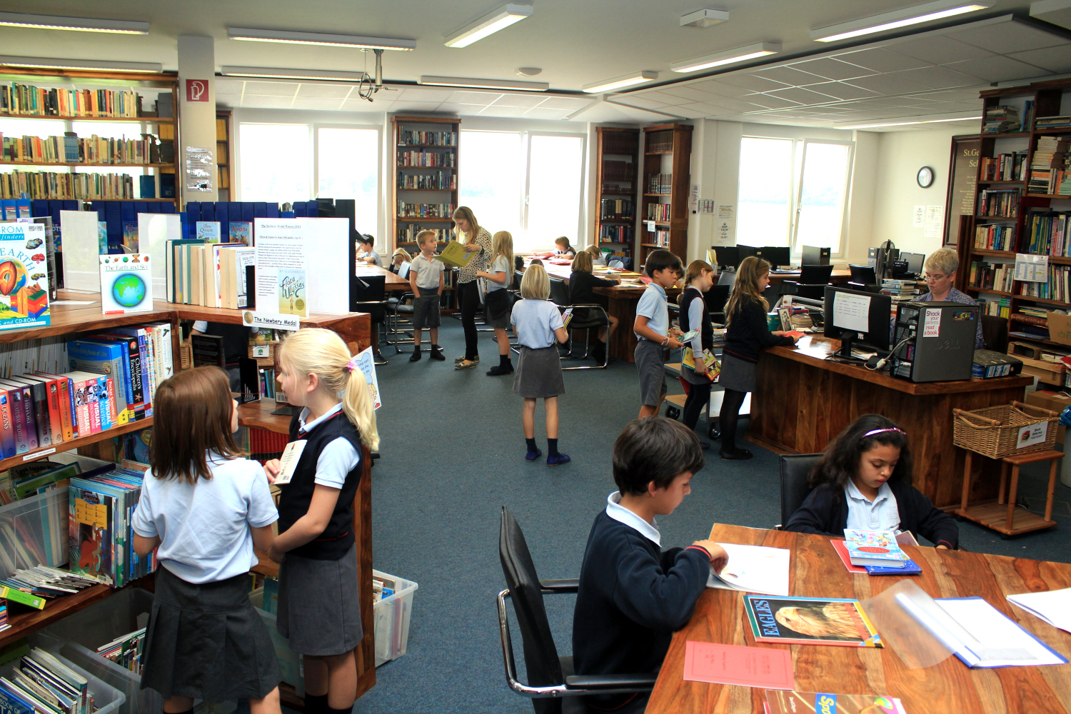 St. School Cologne (Cologne, Germany) apply, prices, reviews