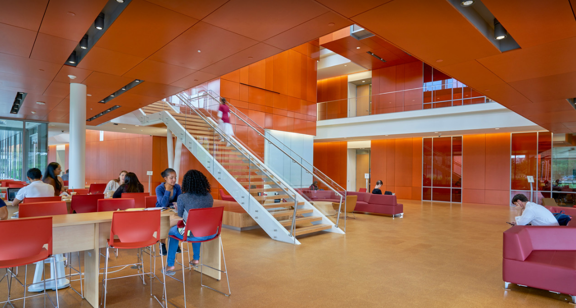 Adelphi University (Adelphi University) (New York, USA) apply, prices