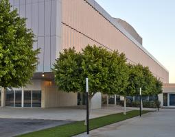 King's College Murcia