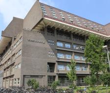 Peking University