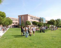 Enforex Summer Camp Madrid