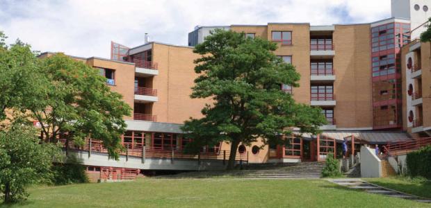 Football in 30 best institutions in Germany: study fees, rankings, reviews