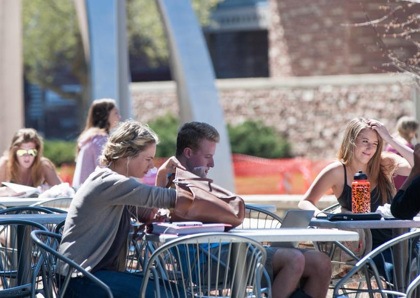 INTO Colorado State University (Denver, USA) Smapse