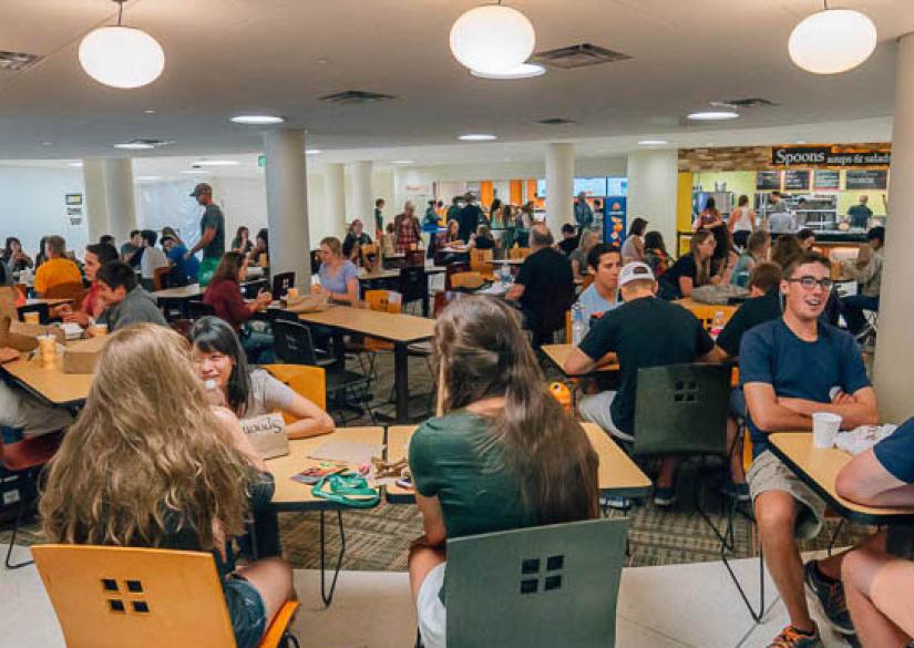 INTO Colorado State University (Denver, USA) Smapse