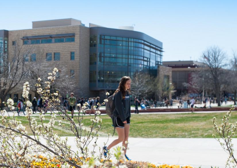 INTO Colorado State University (Denver, USA) Smapse