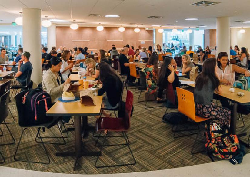 INTO Colorado State University (Denver, USA) Smapse