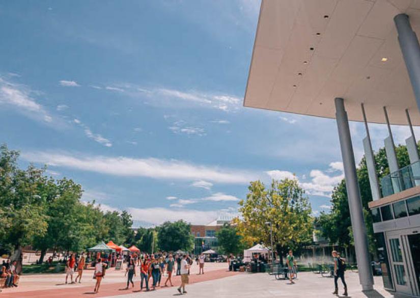 INTO Colorado State University (Denver, USA) Smapse