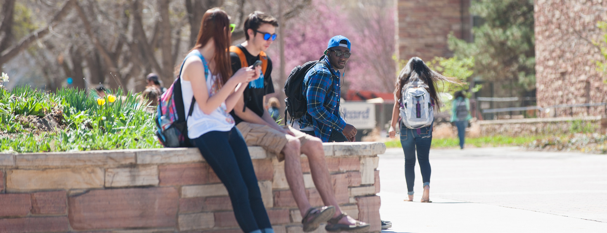 INTO Colorado State University (Fort Collins, Colorado, USA) apply