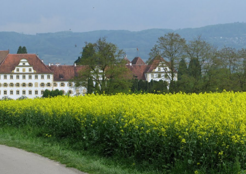 30