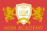 Logo MSM Academy