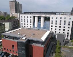 Humboldt-Institut Summer Camp Cologne