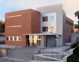 Cesine Business School