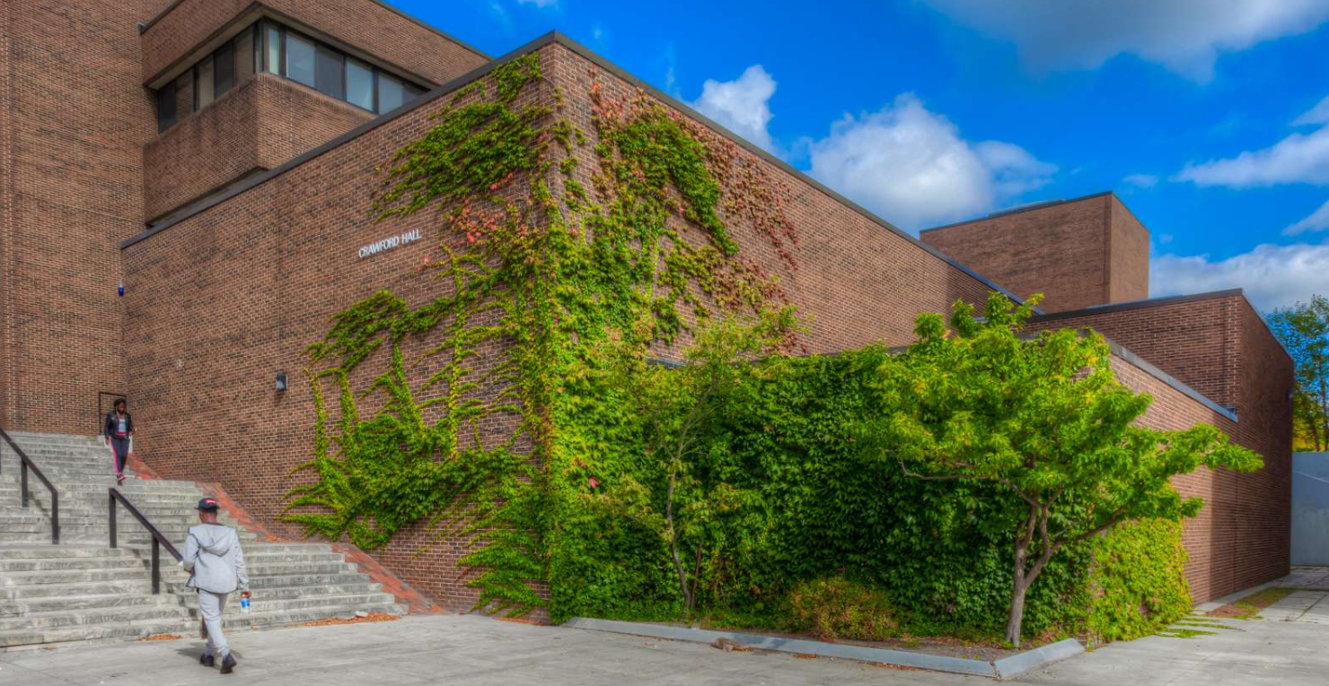 SUNY Morrisville State College (New York, USA) apply, prices, reviews