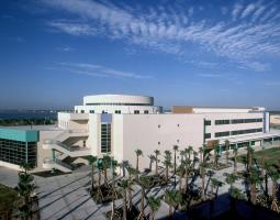 Texas A&M University Corpus Christi