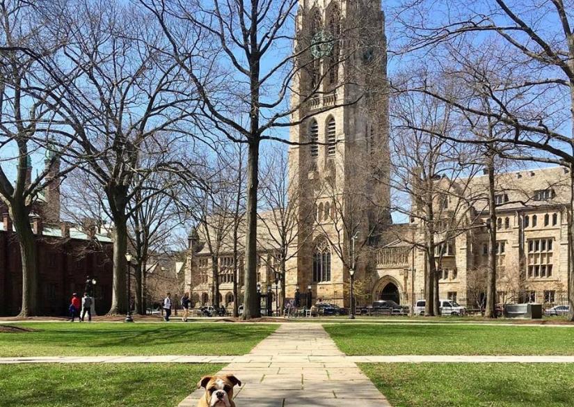 California University Summer Holiday Camp (Yale, New Haven, Connecticut(04)