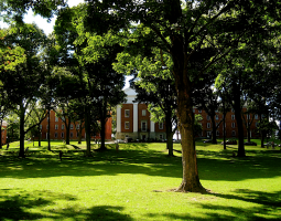 Amherst College Summer Camp with programming