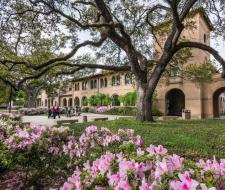 Louisiana State University