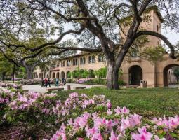 Louisiana State University