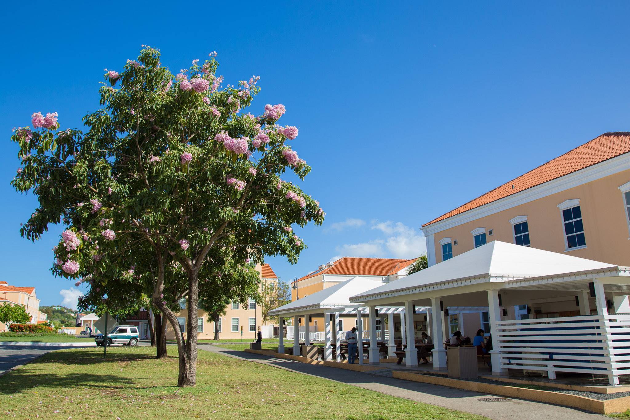 St UniversityGrenada (St. Grenada) apply, prices