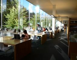 University of Turku