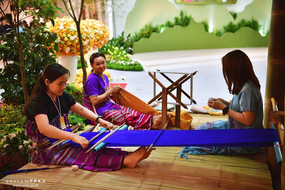 "Kasetsart University In Bangkok Thailand"
