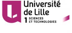 Logo Lille University of Science and Technology