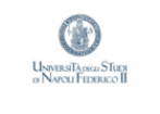 Logo University of Naples Federico II