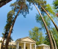 Grammar school Zhukovka Moscow