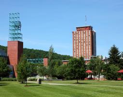 Binghamton University (BU)