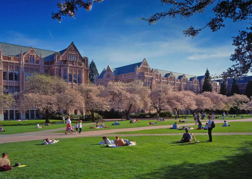 University of Washington (UW) 0