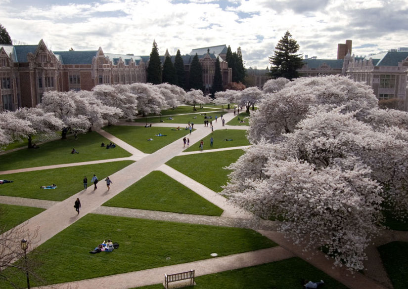 University of Washington (UW) 1