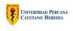Logo Universidad Peruana Cayetano Heredia (UPCH)