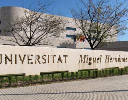 Universidad Miguel Hernández (UMH)