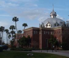 University of tampa