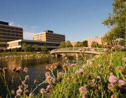 Oakland University (OU)