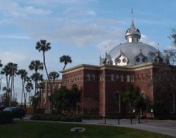 University of tampa