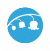 Logo Kielo Summer School