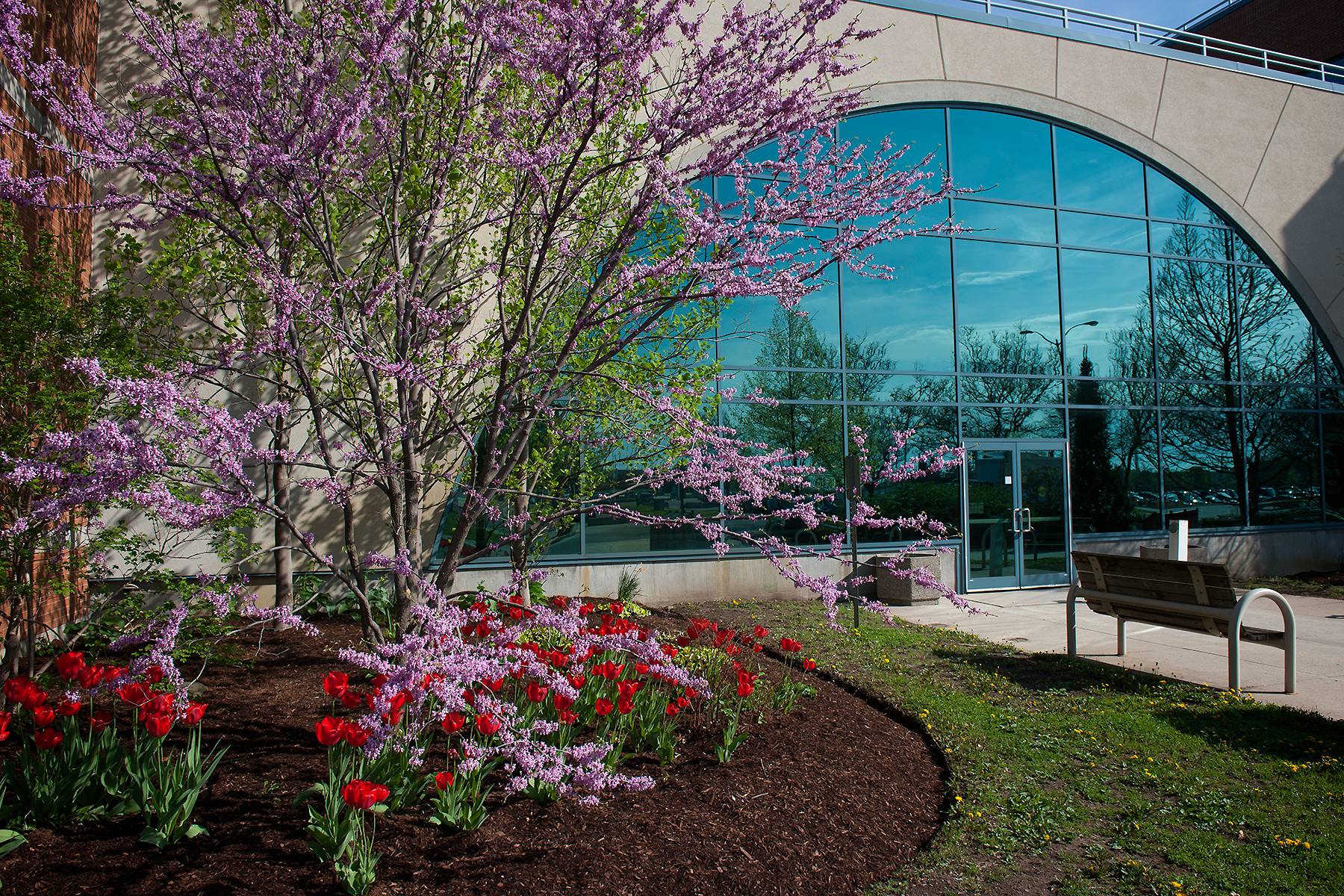 Fanshawe College London (London, Ontario, Canada) apply, prices