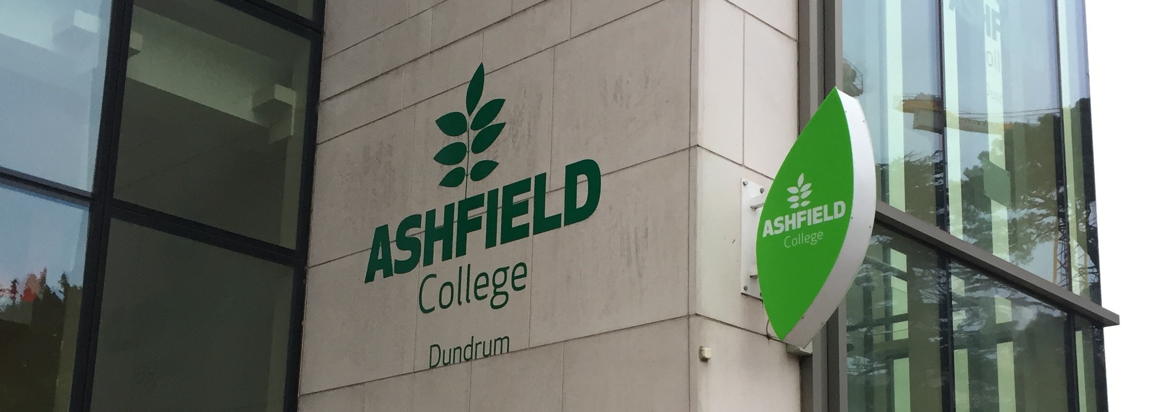 Ashfield College Dublin Summer Oscars Kids Camp (Dublin, Ireland)