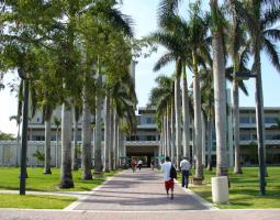 University of Miami IT Camp