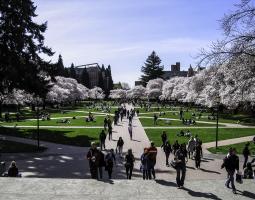 University of Washington Summer Kids Academy Camp