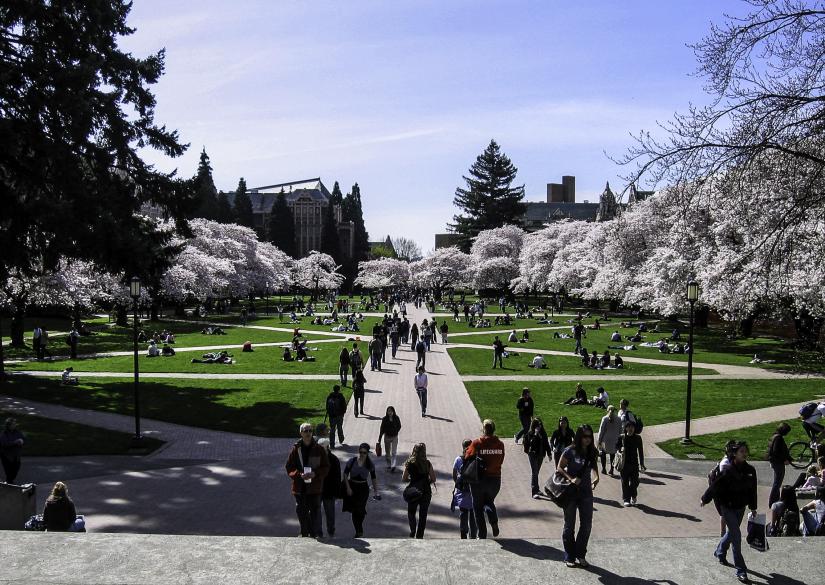 University of Washington Summer Kids Academy Camp 0