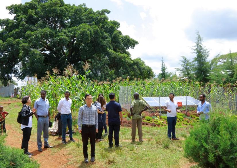 Jimma University (Addis Ababa, Ethiopia)