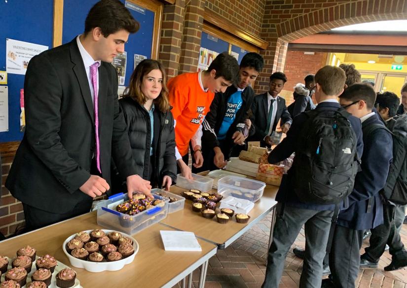 🏛️ St. Albans Summer Camp (near London, United Kingdom) apply, prices