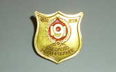 Logo Grammar school № 9 Yekaterinburg
