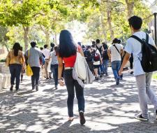 UCLA Summer School with coding