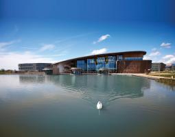 York University