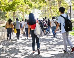 UCLA Summer School with coding