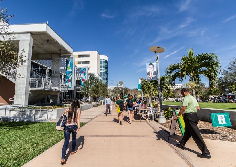 University of South Florida Summer Camp with IT and programming 0